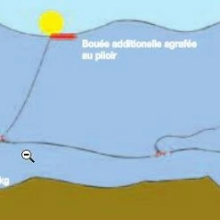 Ligne De Pêche Bao à Daurades