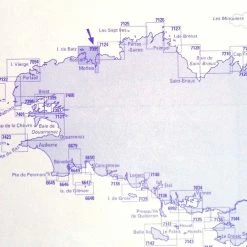 Palm Soldes Boutique -Palm Soldes Boutique CARTE7095LT1