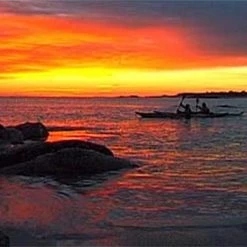 DVD This Is The Sea 2 -Palm Soldes Boutique DVDTHISISTHESEATWOT3