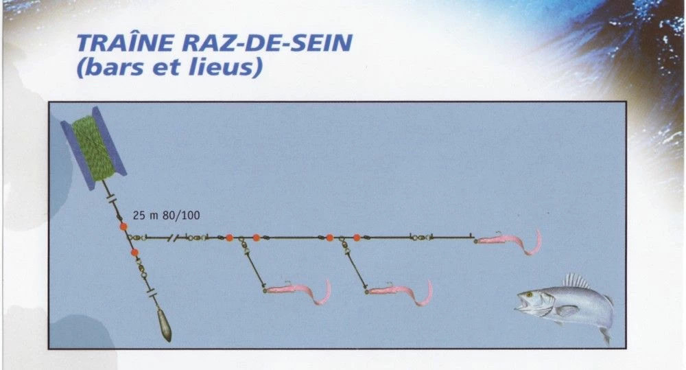 Ligne De Traîne Bar Et Le Lieu Raz De Sein 2 Ligne De Traîne Bar Et Le Lieu Raz De Sein – Image 2
